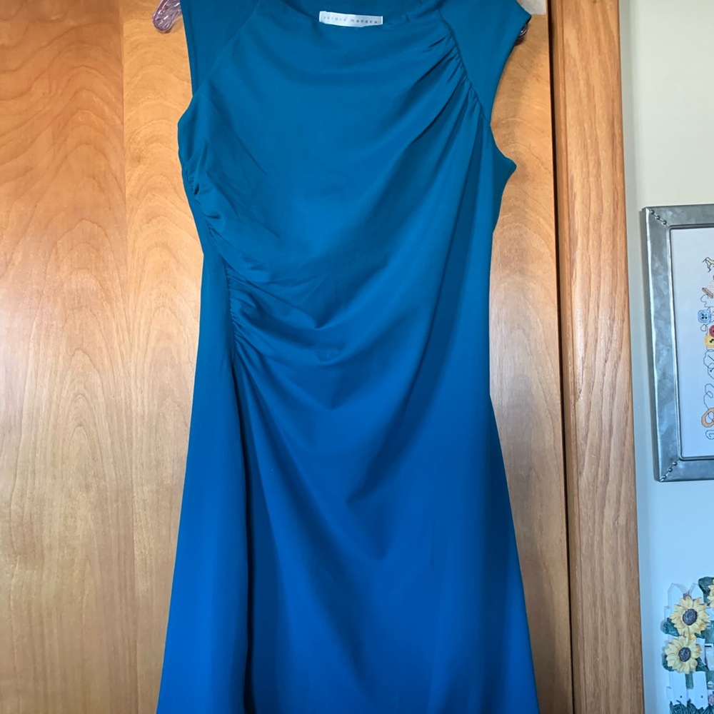 This spandex dress has gathers on the left side with a half lined bodice.